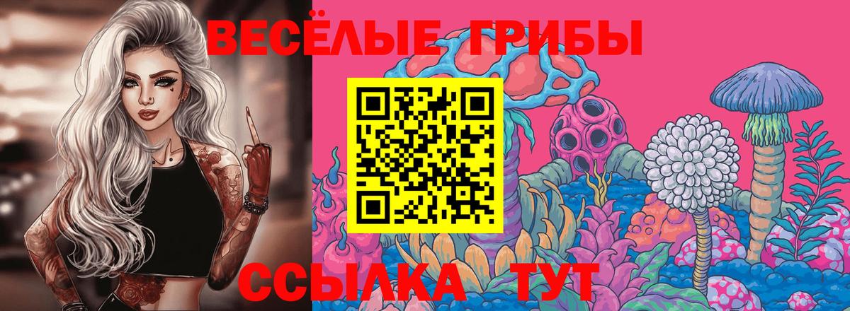 Чусовой  Галлюциногенные грибы Psilocybe  Вход с VPN 